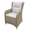 Кресло МАДАГАСКАР  с подушками жгут 9677 Кресло МАДАГАСКАР  с подушками жгут 9677